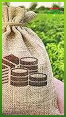 पीकविमा भरताय या २ गोष्टी महत्त्वाच्या