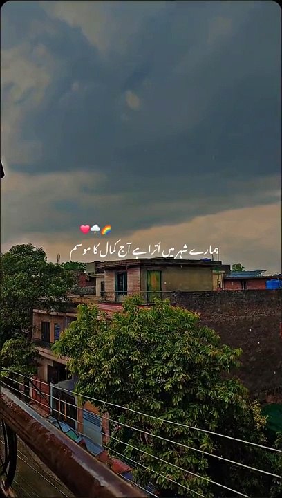Rain ️ proty