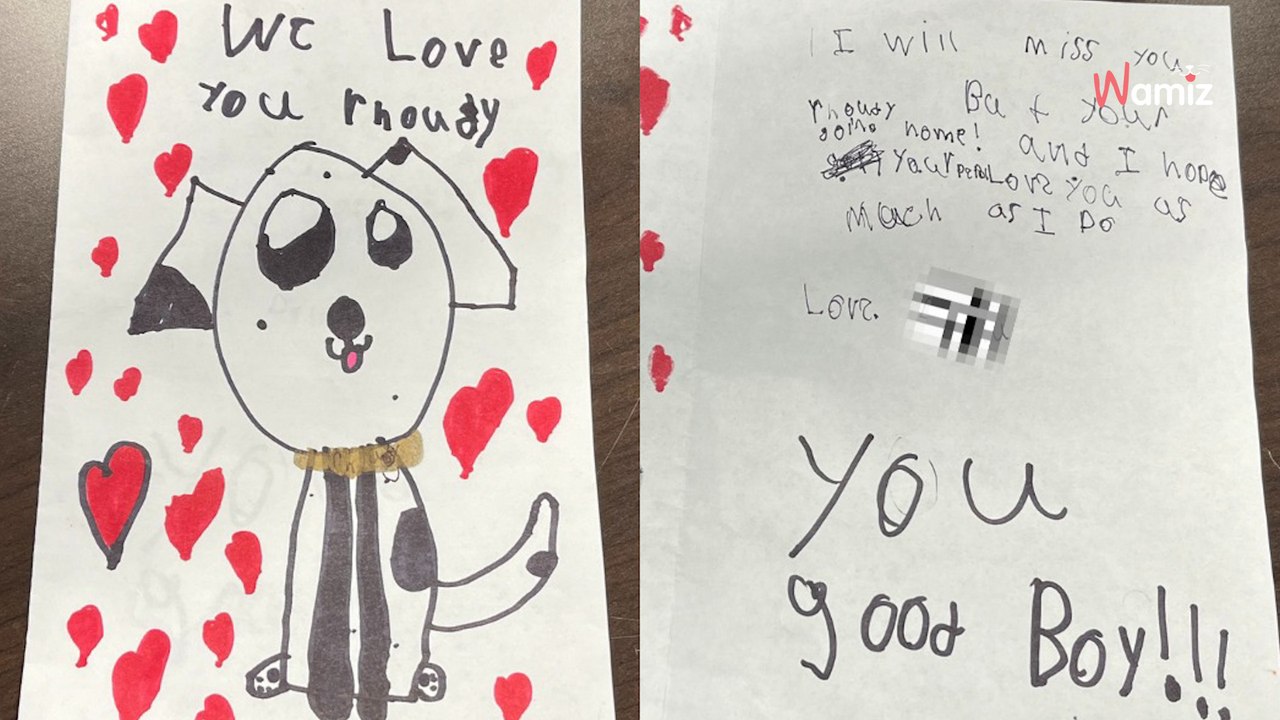 Une famille abandonne son chien et lui laisse un mot : le refuge leur écrit et fait pleurer tout le monde