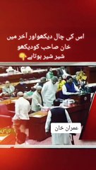 Imran Khan//King Of Pakistan //عمران خان نے نواز شریف کی بولٹی بند کر دی