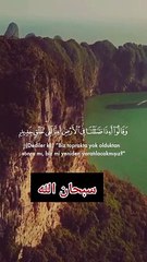 Beautiful Tilawat e Quraan 987