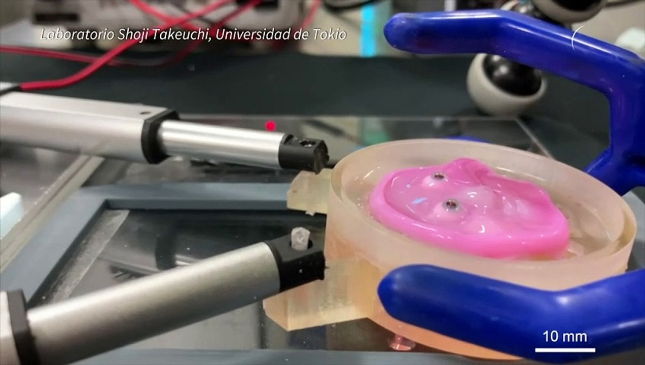 Científicos japoneses crean robot sonriente con piel "viva"