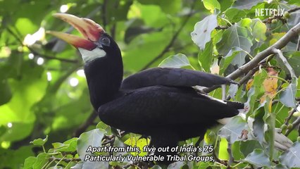 Decodes_ The THRILLING True Story Of Kaala Paani Jail