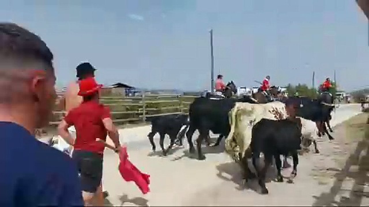 Saca 9