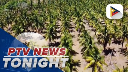 PBBM knows, understands needs of farmers