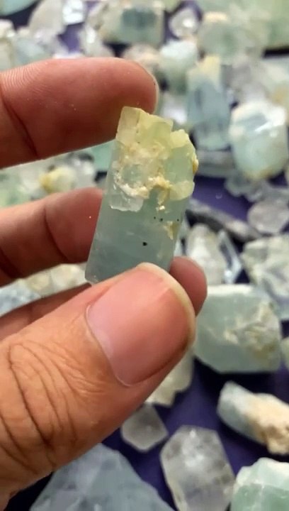 1000083153  #the_munich_show #mineralientage #mineralientagemuenchen #munichshow2024 #gemworld2024 #gemworldmunich #messe #tradefair #herbstmesse #fallshow #verkaufsplattform #minerals #gemstones #gems #fossils #topsammler #mineralien #mineralspecimen #wi