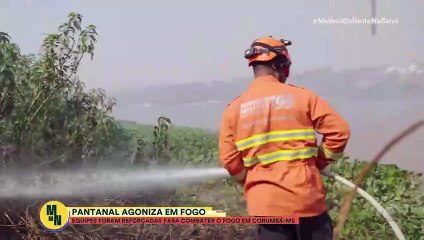 Pantanal agoniza em fogo! Equipes de resgate são reforçadas na região