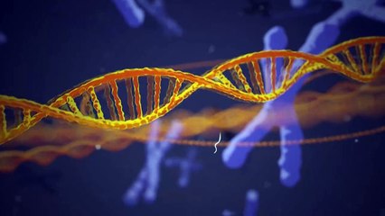 تحرير الحمض النووي