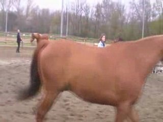 Le travail en longe (suite)