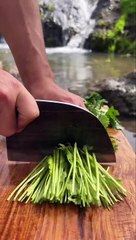 Steak Stuffed Onion.