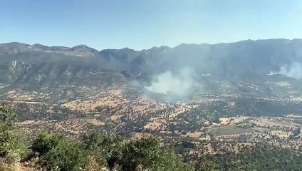 PKK'lı teröristler orman yaktı