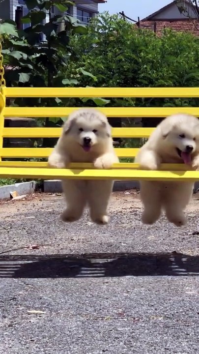 Goal-Oriented: Mentioning the need to attract viewers and optimize for search ensures the title will be effective.