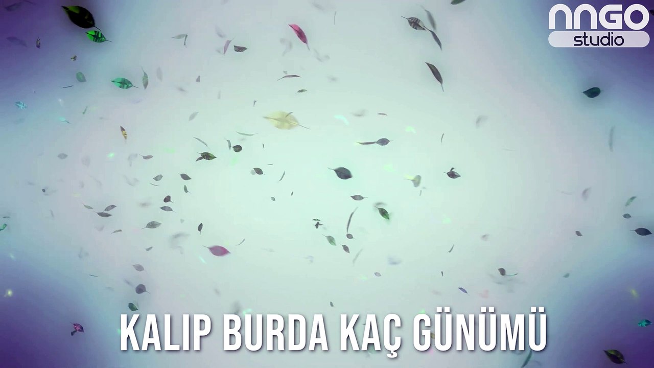 Daha İyisi Gelene Kadar