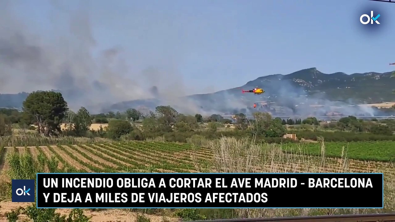 Un incendio obliga a cortar el AVE Madrid - Barcelona y deja a miles de viajeros afectados