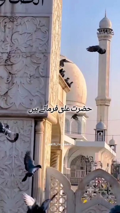 Hazrat Ali farman/ islamic quotes/ urdu quotes/path to peace