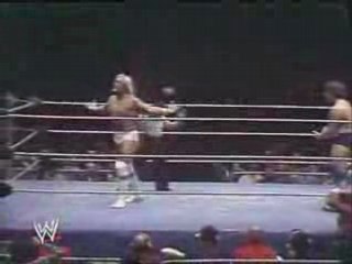 The Fabulous Hulk Hogan vs Ted DiBiase