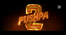 Pushpa 2 The Rule | Pushpa 2 Movie | Allu Arjun, Rashmika Manddana | Allu Arjun New Movie