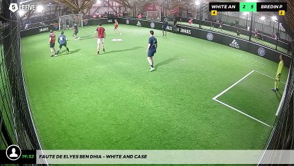 Faute de Elyes BEN DHIA - WHITE AND CASE