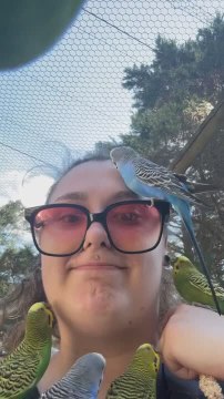 Parakeets Nibble on Woman's Face and Neck