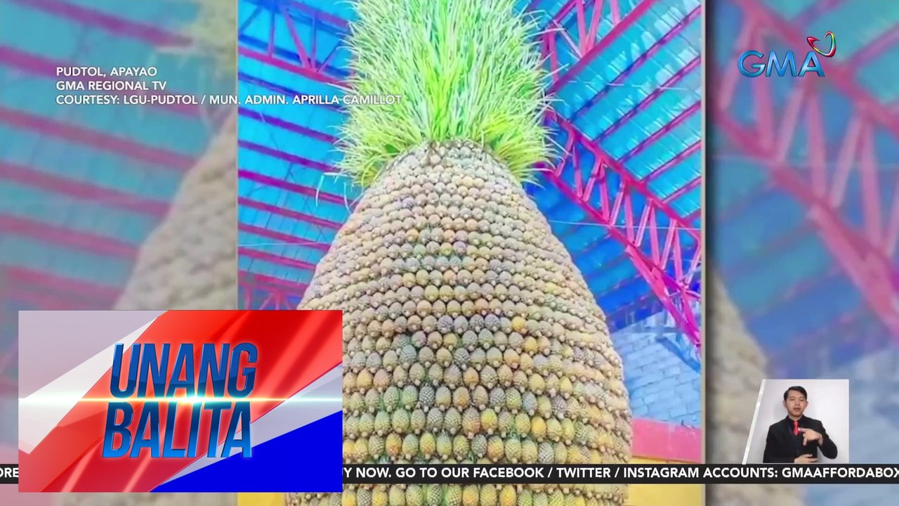 Mala-higanteng pinya, bida sa 9th Pinya Festival | Unang Balita