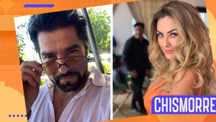 Arturo Carmona y Aracely Arámbula, ¿juntos de nuevo?