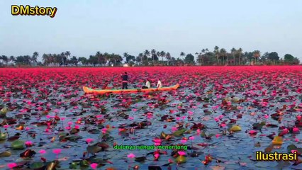 Kisah wanita pemakan jantung paman nabi muhammad SAW
