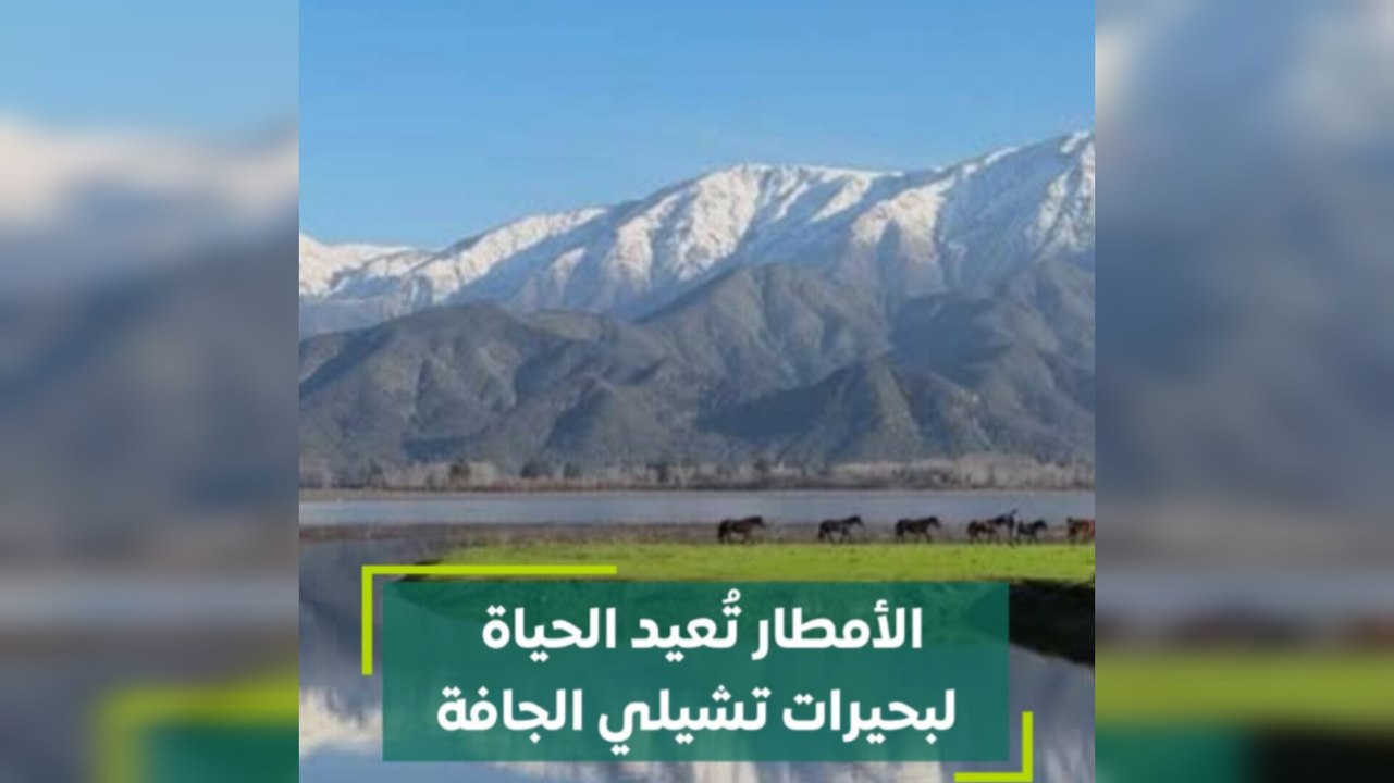الأمطار تعيد الحياة لبحيرات تشيلي الجافة