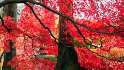 बातें जो जीवन बदल देंगी (ज्ञान स्रोत)