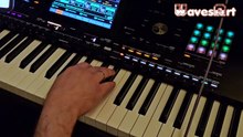 Pa5X Virtual Accordion  of 350 Mb