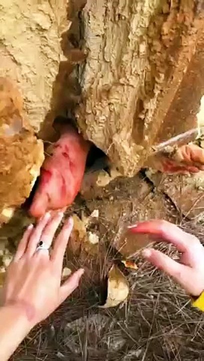Khaufnak video funny clip