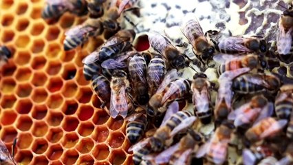 24H avec - Episode 20 : Alexis Raynaud