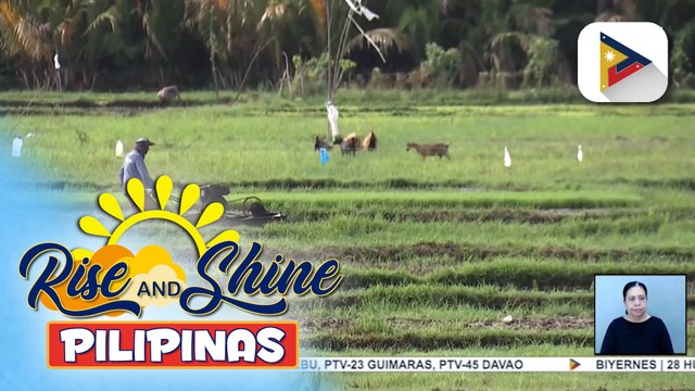 Nasa 10,000 magsasaka at mangingisda sa Negros Oriental, nakatanggap ng tulong mula sa pamahalaan