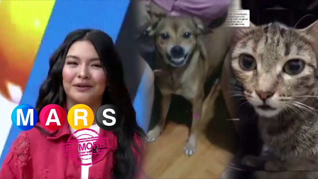 Cutie pets, handa nang tunawin ang puso ni Althea Ablan! | Mars Pa More