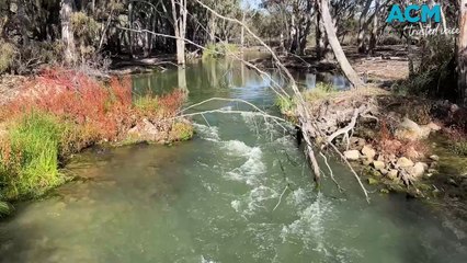 Explore - Murray River Walk, Renmark, SA, June 28, 2024, ACM