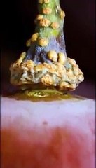 The Best Close-Up ASMR Videos from OBJECT