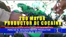 Perú es el segundo mayor productor de cocaína en el mundo