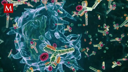 Creatina en el gimnasio: ¿Realmente funciona este suplemento?