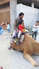 Program to badh gaya