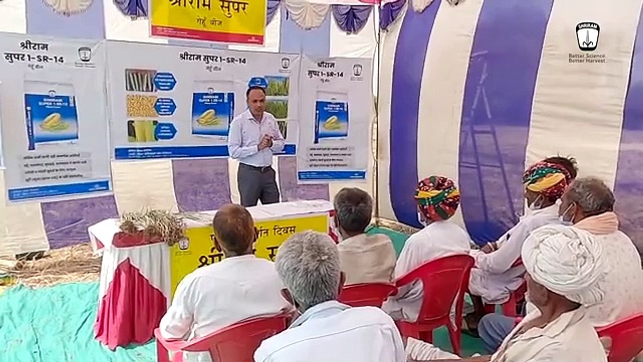 Shriram Super 1-SR-14 Wheat Live Showcase