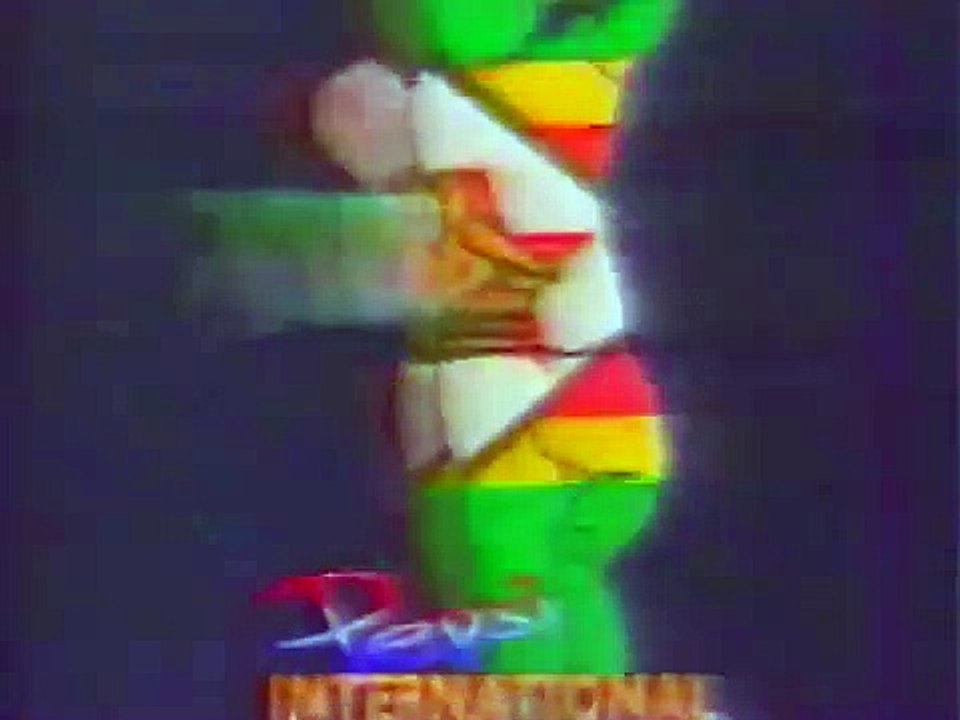 Double Wicket Cricket Final Pakistan Vs SouthAfrica Video Dailymotion