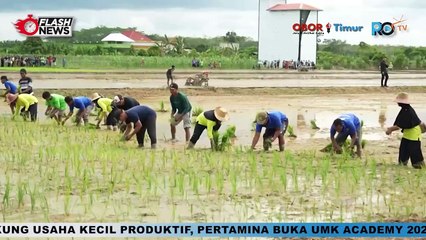 JOKOWI TINJAU POMPA AIR UNTUK PENGAIRAN SAWAH DAN PERTANIAN DI DESA BOPEANG