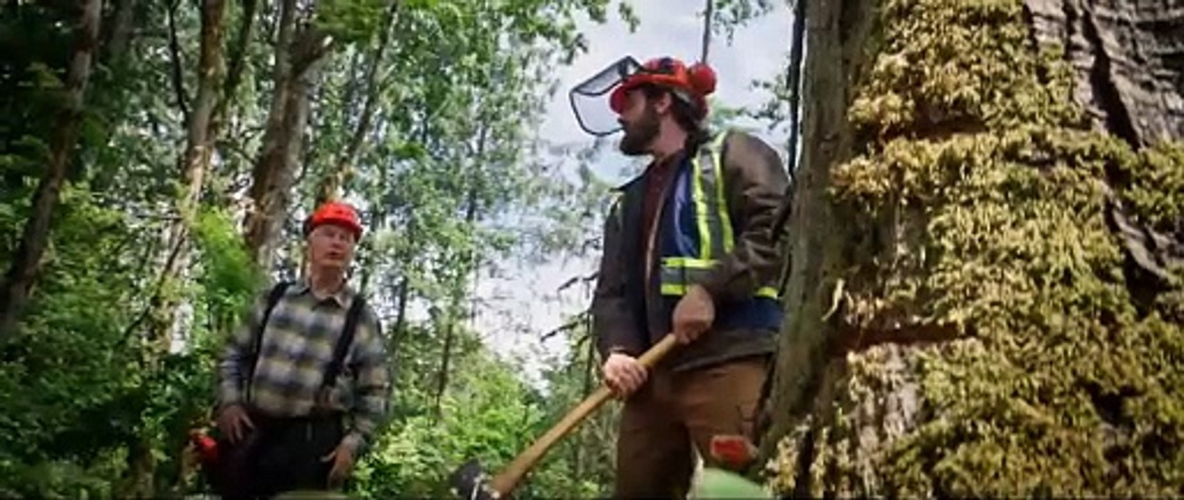 Clear Cut Trailer OV