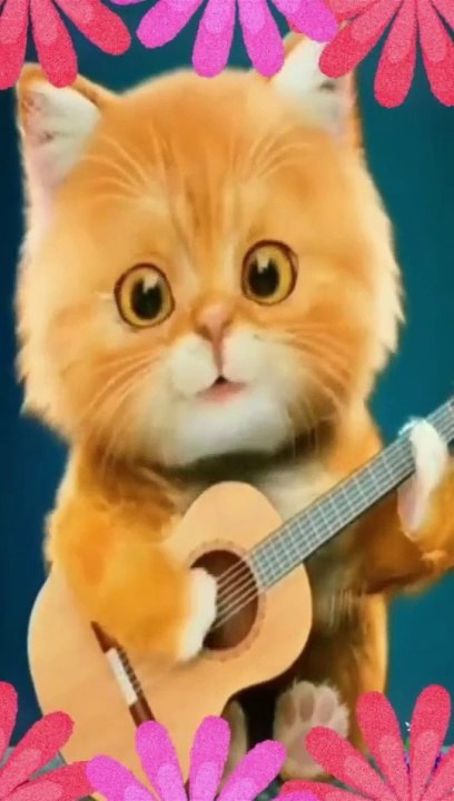 cat sing a song