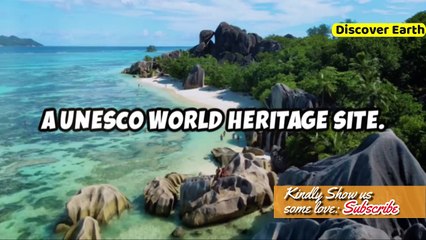 10 Unbelievable Things That Only Exist in Seychelles