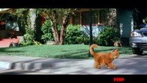 Chú mèo tinh nghịch đi lang thang và cái kết -  - Review phim cho trẻ em - PHIM CHO MỌI NHÀ