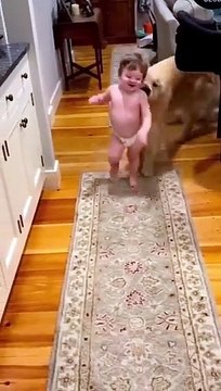 Cute baby enjoys playing with dog _shorts _shortsfeed _cute _baby _cutebaby _trending(360P)