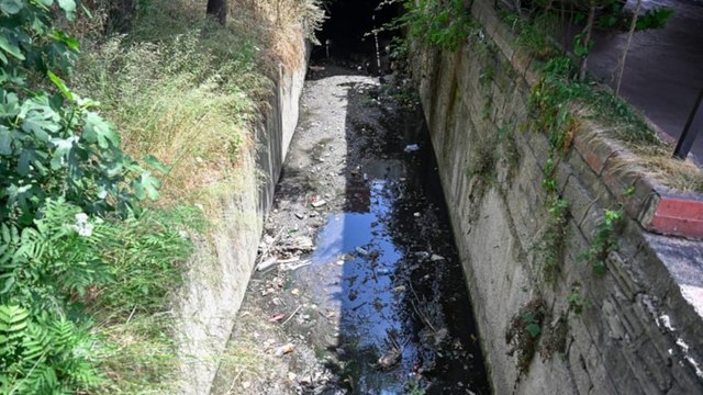 İstanbul'daki bazı dereler çevreye kötü koku yayıyor