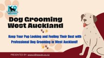 Dog Grooming West Auckland