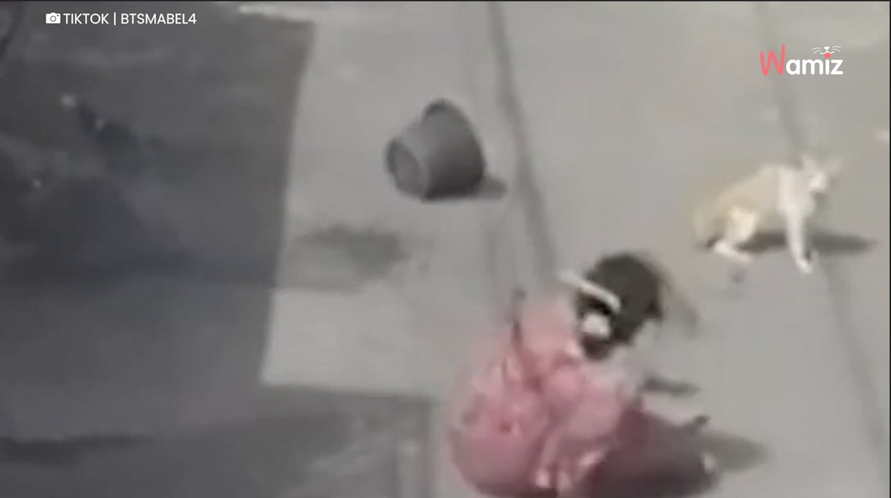 Frau spritzt mit Wasser auf Straßenkatze: Doch ihr Schuss geht nach hinten los! (Video)