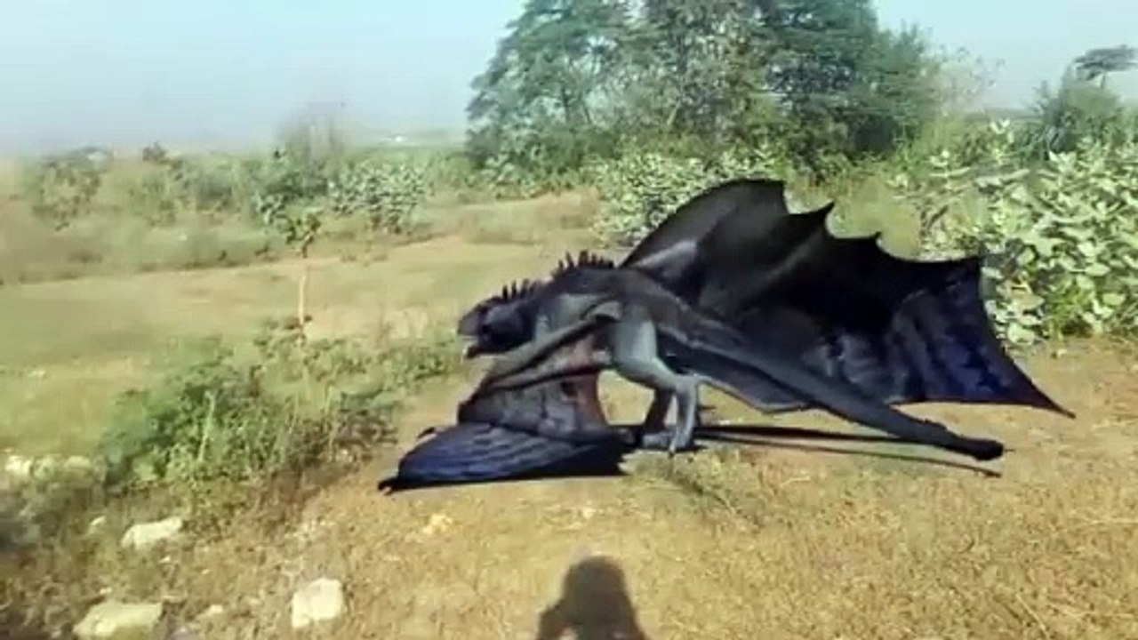 dinosaurs dragan video dinosaur best video battle video best video dinosaur battle video dinosaurs